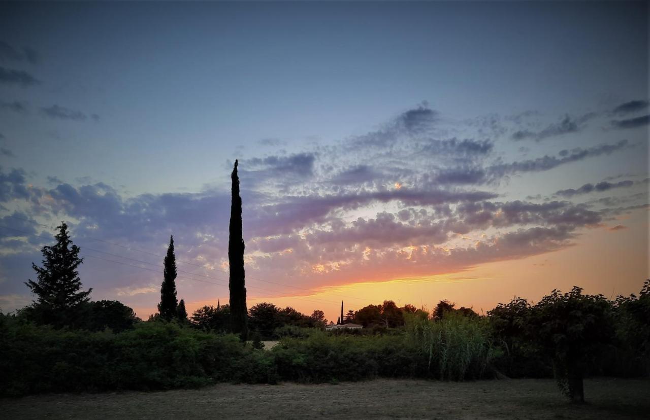 La Maison Du Chemin Des Prairies Morieres-les-Avignon Zewnętrze zdjęcie